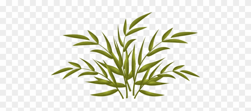 Plants - Plants #1315435
