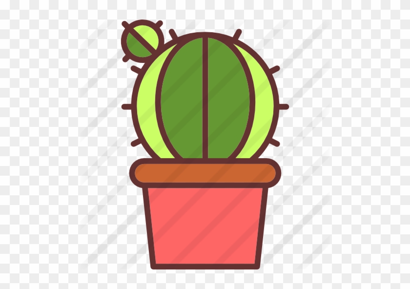 Cactus - Cactus #1315857
