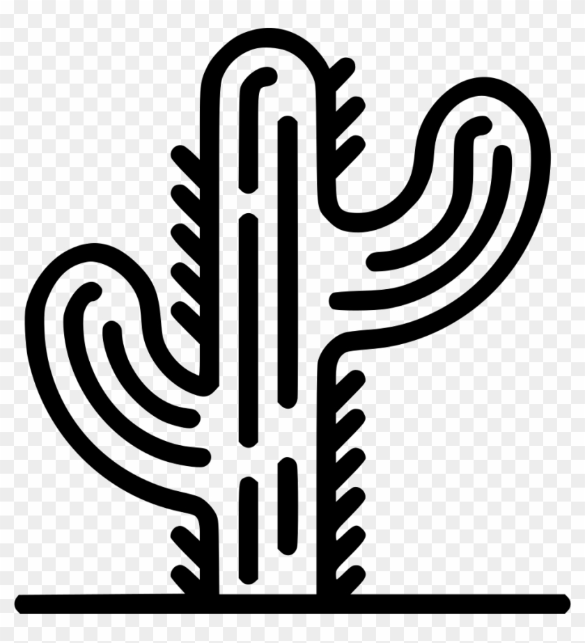 Cactus Comments - Cactus #1315859