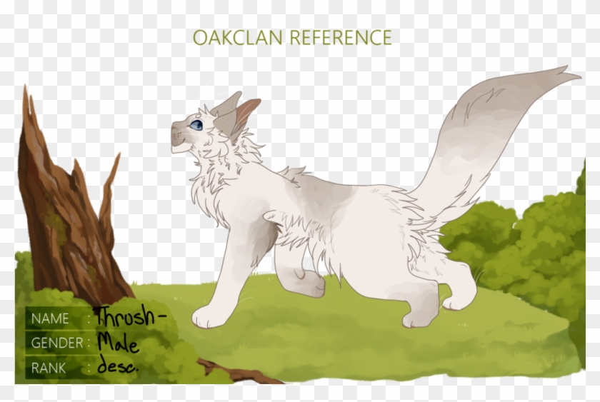 Thrushpaw By Nargled - Cartoon #1316418