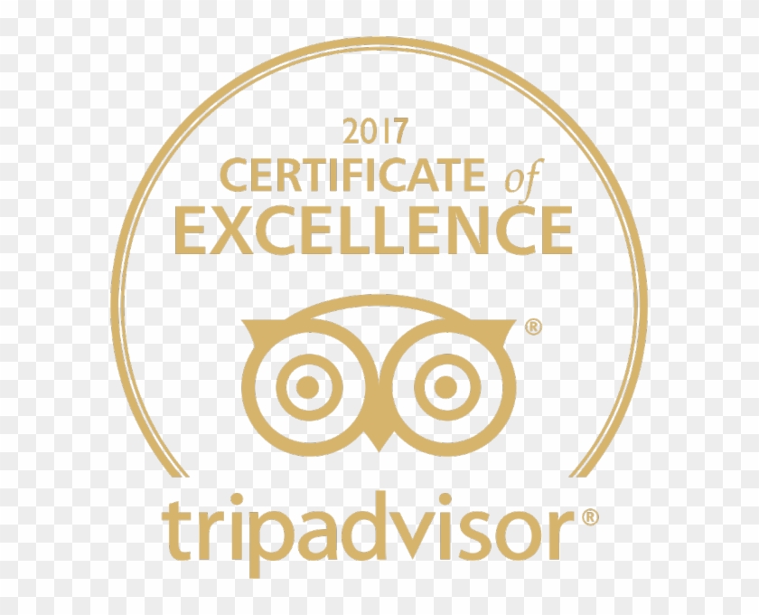 We Won Once Again The "travellers Choice Award" In - Tomtom Via 52 5" Sat Nav - With Uk, Roi & Western #1316821