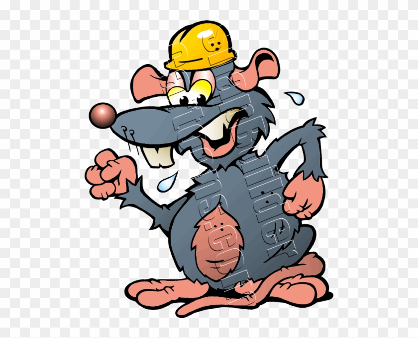 Rata Con Casco #1316965