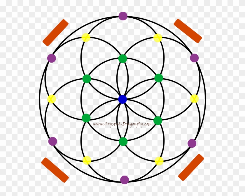 Seed Of Life Crystal Placement Diagram - Seed Of Life Stencil #1317090