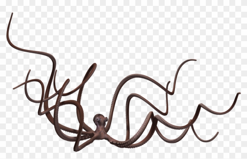 Giant Octopus 01 By Wolverine041269 On Clipart Library - Octopus #1317146