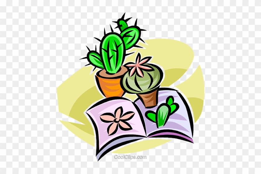 Cactus - Cactus #1317797