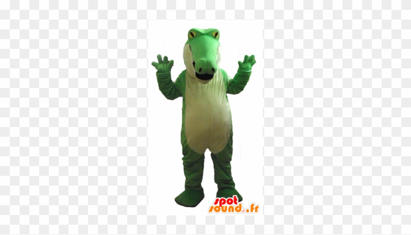 New Green And White Crocodile Mascot, Plump, Very Impressive - 2 New Spotsound Masot Yuru-charas Of Brown And Green #1318317