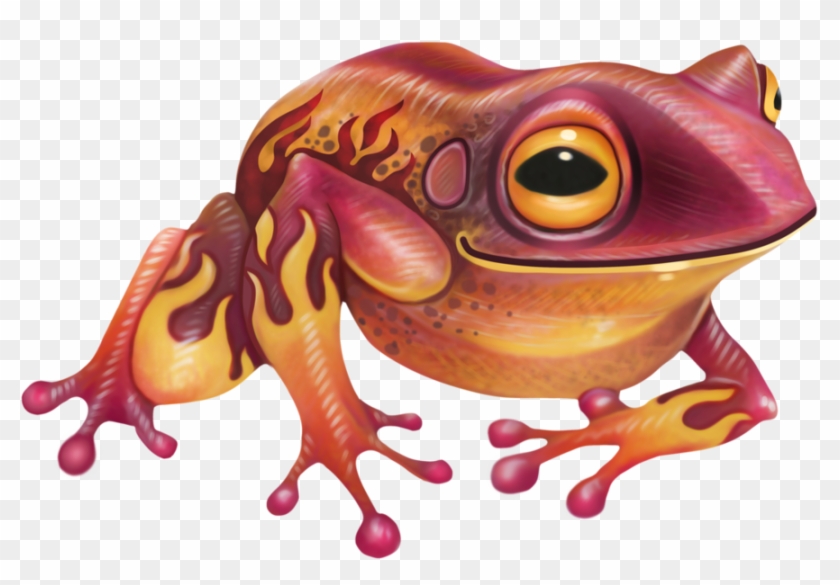 Frog Print By Slaaneshg - Frog #1318406