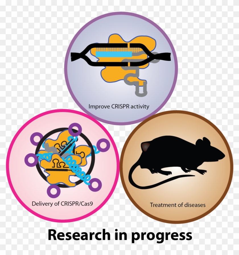Research Skills - - Dibujo Cara #1320957