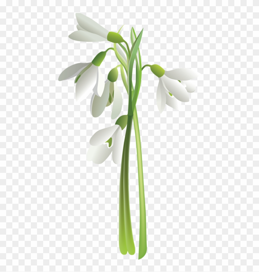 Flower Vector #1321010