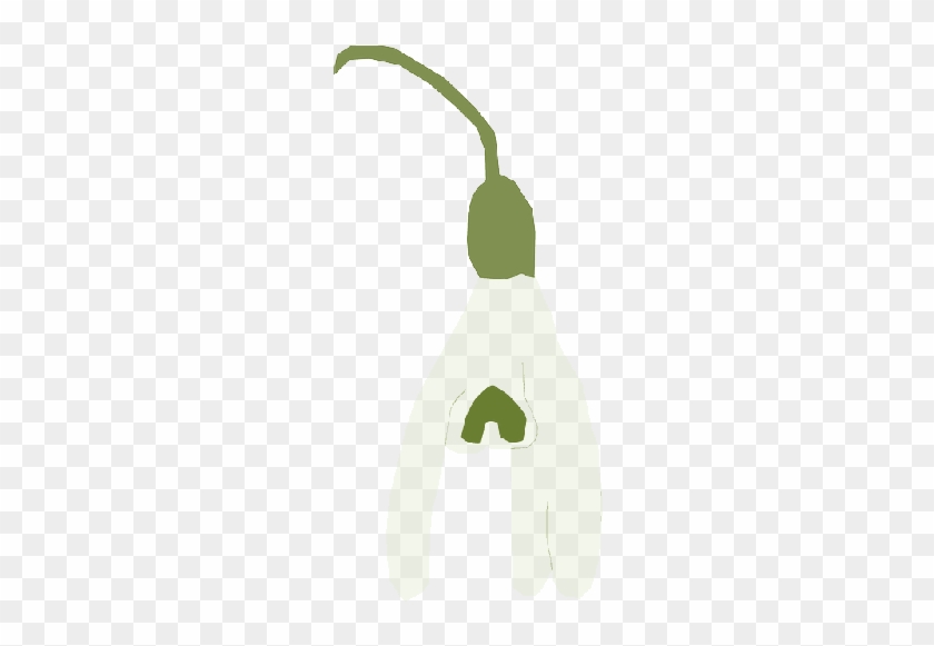 Pink, Plant, Bell, Garden, Snowdrop - Illustration #1321025