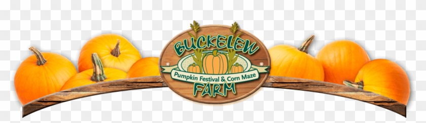 Pumpkin #1321710