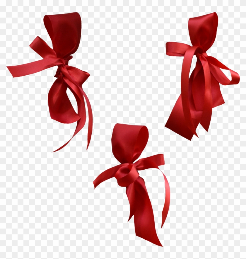 Bow Style Multi Style Png Image - Portable Network Graphics #1321732