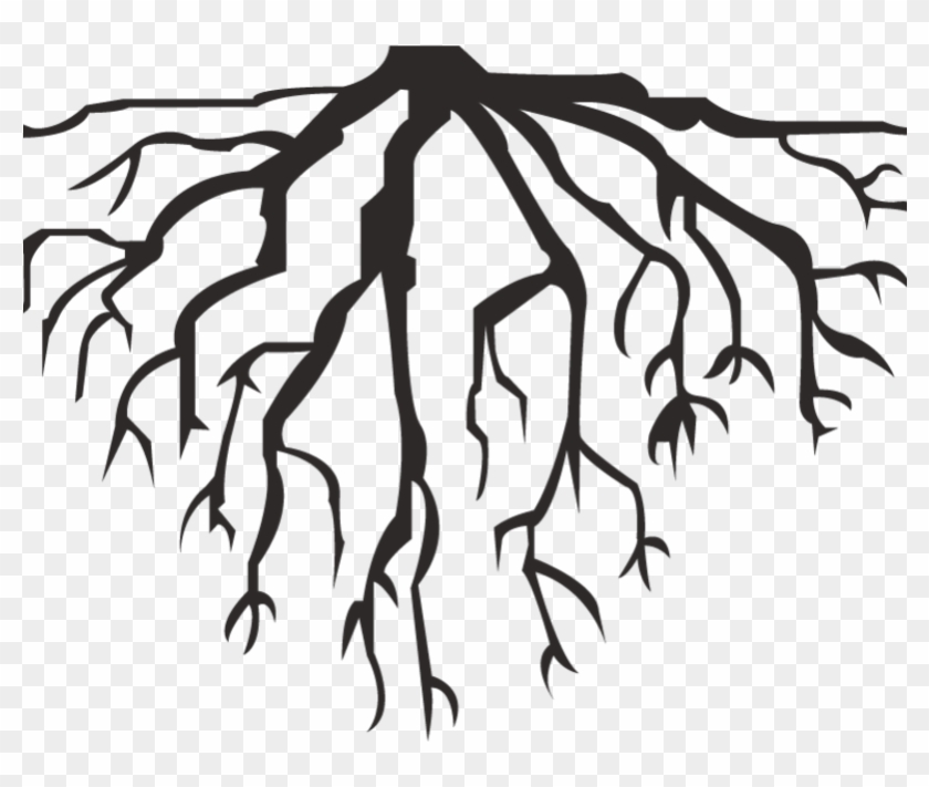 Yükle Spooky Tree Trunk With Branches Clipart - Tree With Roots #1322672