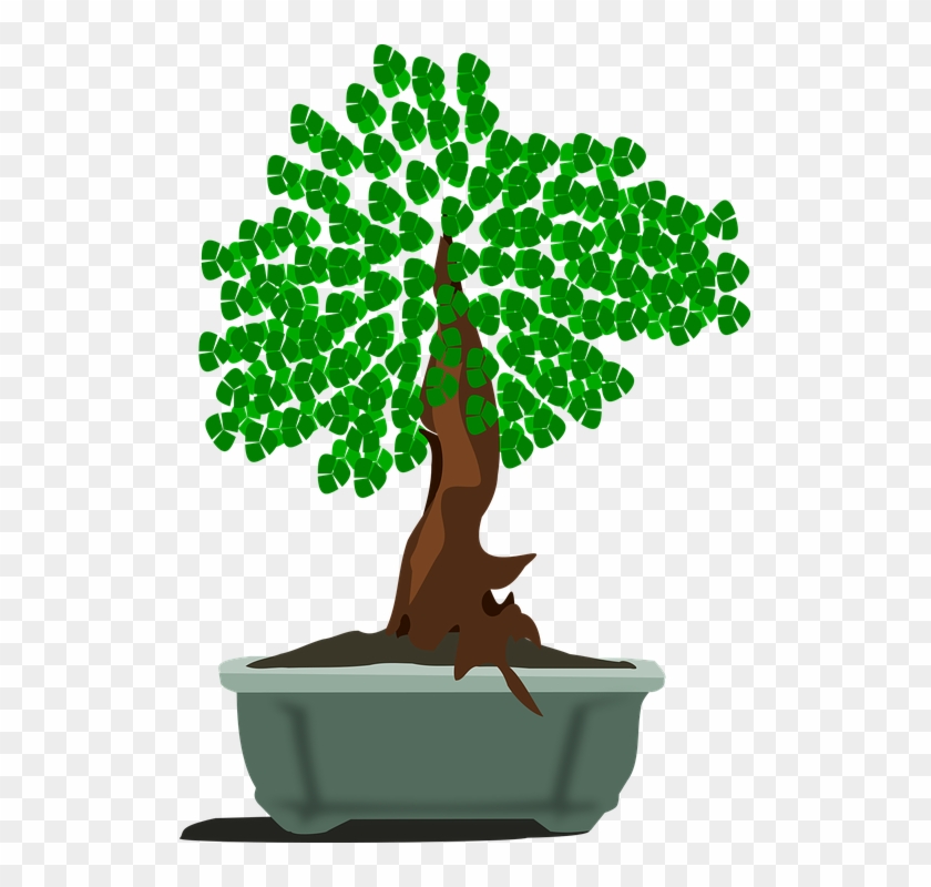 Collection Of Tree Stump Cliparts - ตัด แปะ กระดาษ รูป ต้นไม้ #1322710