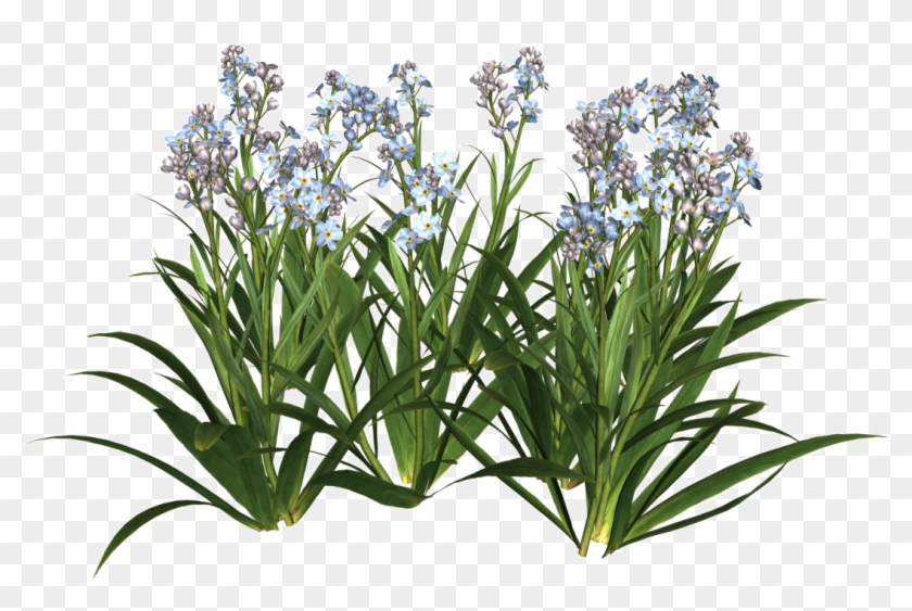 Png Flower Vector Free Download Image - ภาพ พื้น หลัง Powerpoint Hd #1322789