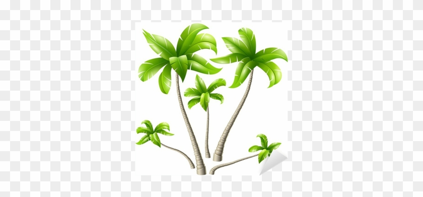 Vinilo Pixerstick Conjunto De Las Palmas De Coco • - Coconut Tree Design #1322857