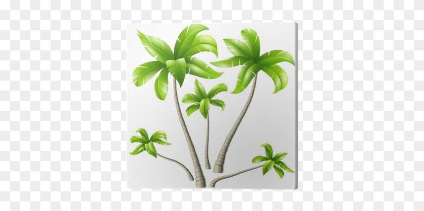 Cuadro En Lienzo Conjunto De Las Palmas De Coco • Pixers® - Coconut Tree Design #1322859