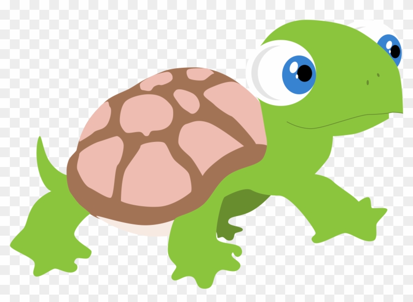Turtle #1323834
