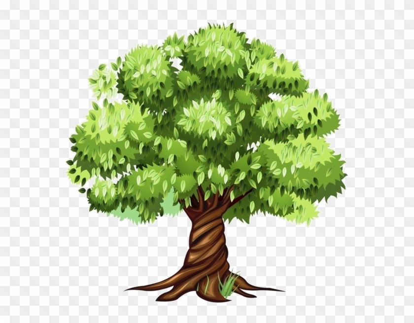 Trees ‿✿⁀°••○ - Tree Clipart #1323875