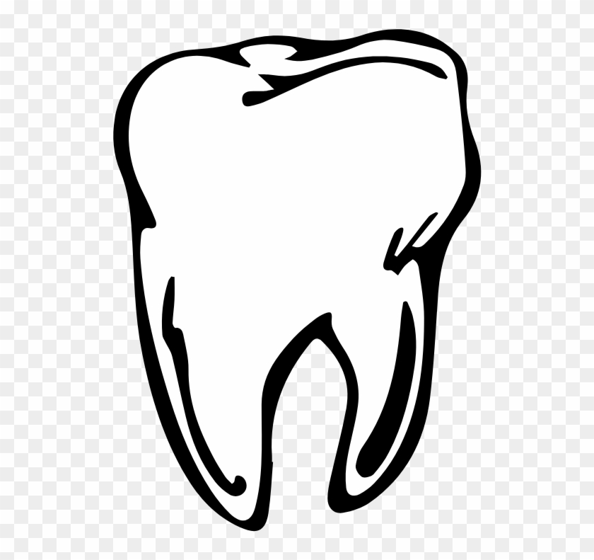 Tooth - Tooth Drawing #1323999
