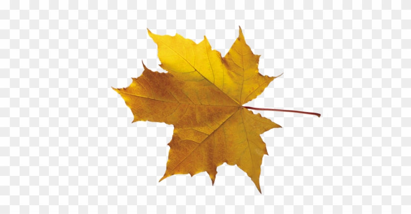 Clip Art #1324704
