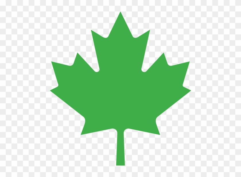 Green Maple Leaf - Leaf On The Canadian Flag #1324708