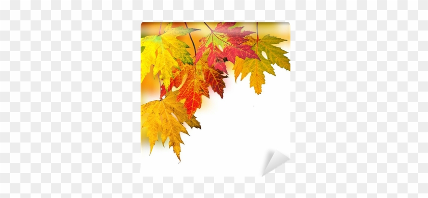 Fallende, Bunte Blätter Wall Mural • Pixers® • We Live - Autumn #1324709