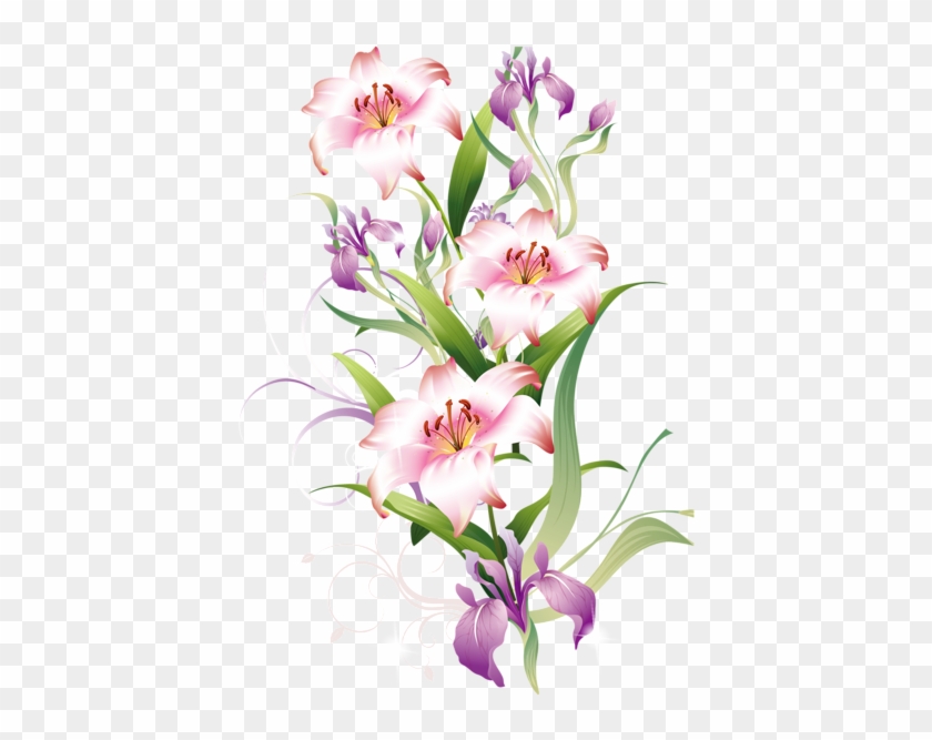 Lilium Decoration Png Clipart Picture - Clip Art #1325149