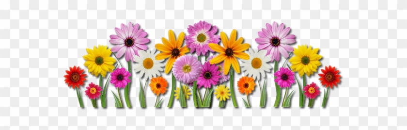 Flower Clipart - Clip Art #1325177