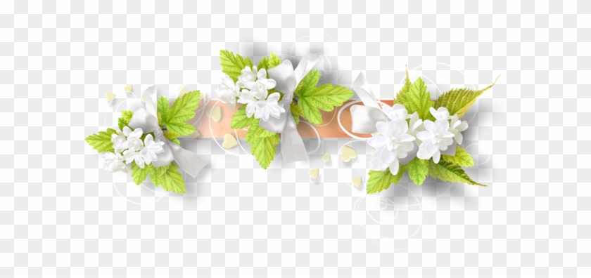 Kwiaty, Flores, Kwiaty, Kwiaty, Png - Portable Network Graphics #1325179