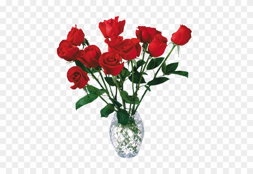 Png Wazony Kwiaty - Rose Flowers With High Resolution #1325208
