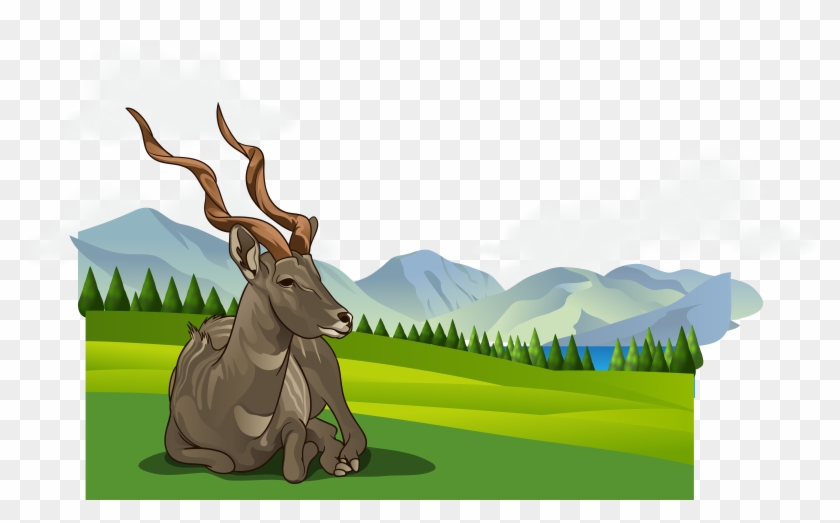 Spring Grassland Vector 7688*4439 Transprent Png Free - Euclidean Vector #1325334