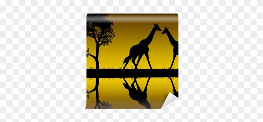 Window #1325576