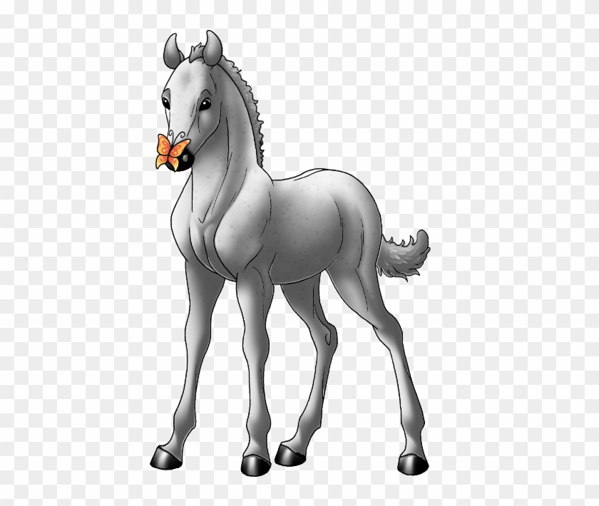 Andalusian - Horse #1325613