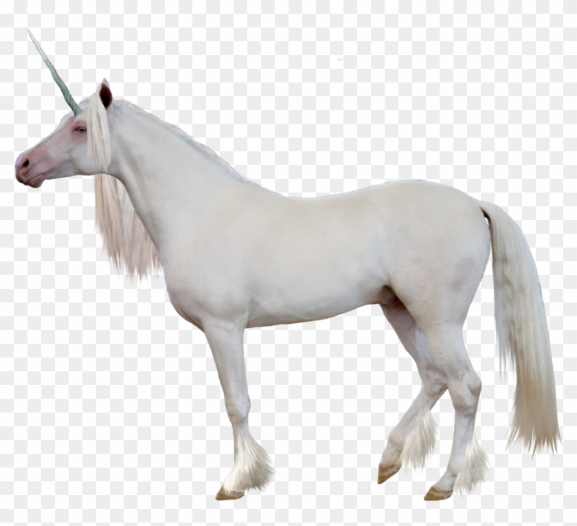 White Unicorn Transparent Background #1325620