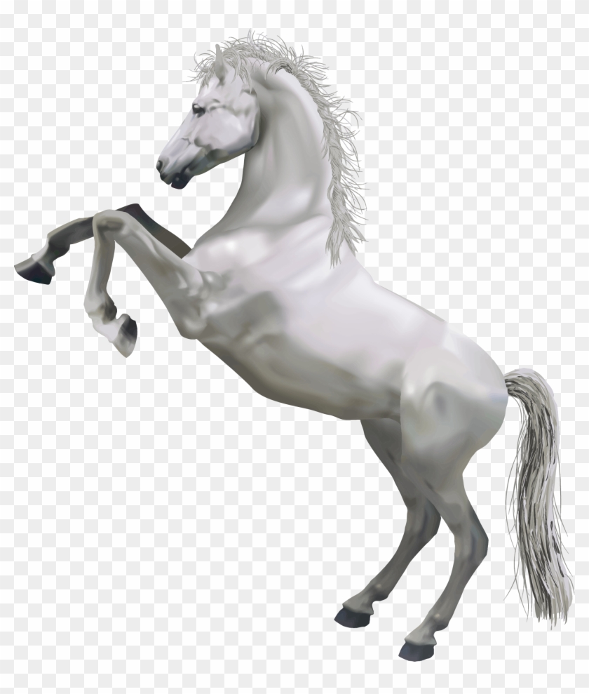 Cartoon Horse Holding Sign - Horse Standing On Hind Legs #1325625