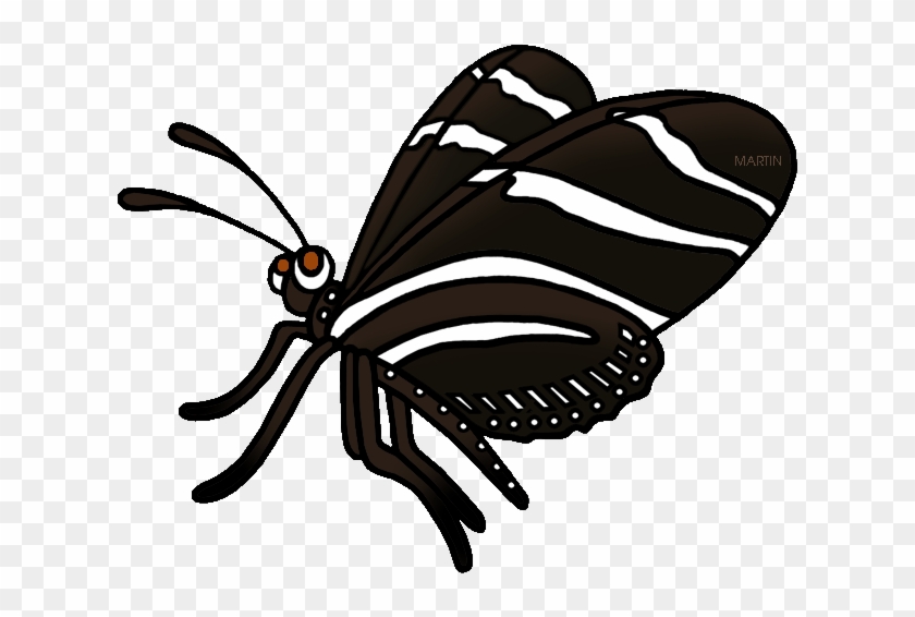 Zebra Clipart Phillip Martin - Zebra Longwing Butterfly Clipart #1325664