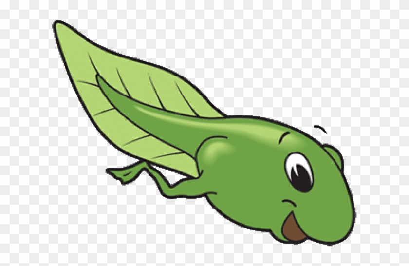 Tadpole Clipart Free Clipart On Dumielauxepices Net - Tadpole Clipart #1325807