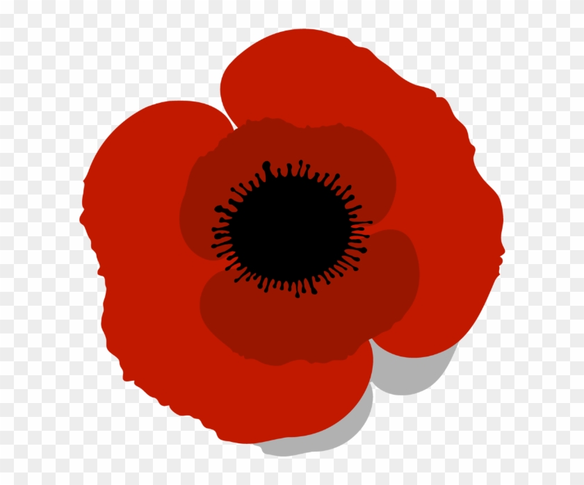 Poppy #1326197