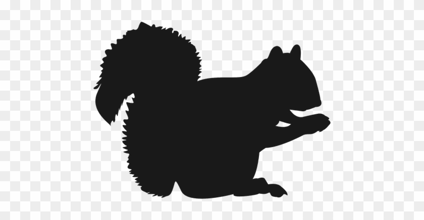 Squirrel Silhouette - Squirrel #1327734