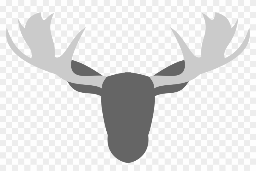 Elk #1327920