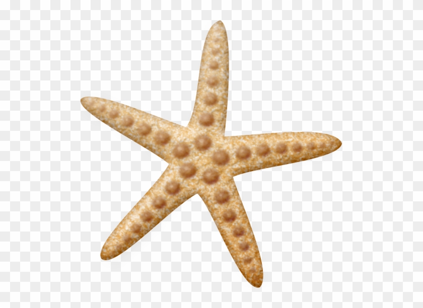 Яндекс - Фотки - Star Fish Blue Png #1328047