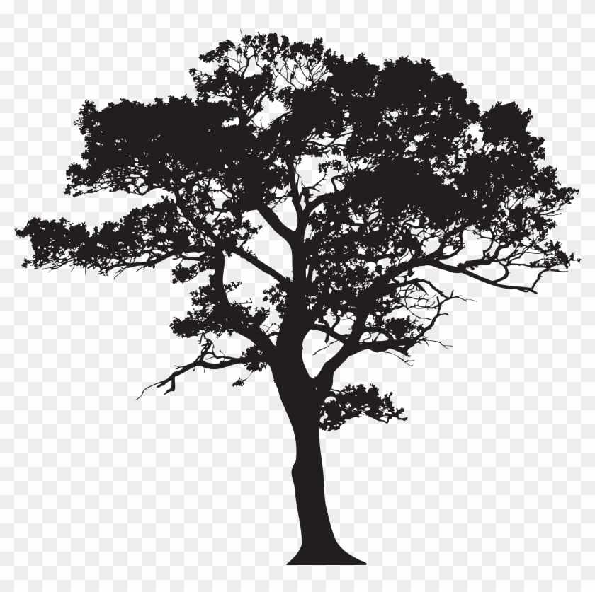 Black And White Tree Wallpapers - Black And White Tree Wallpapers #1328420