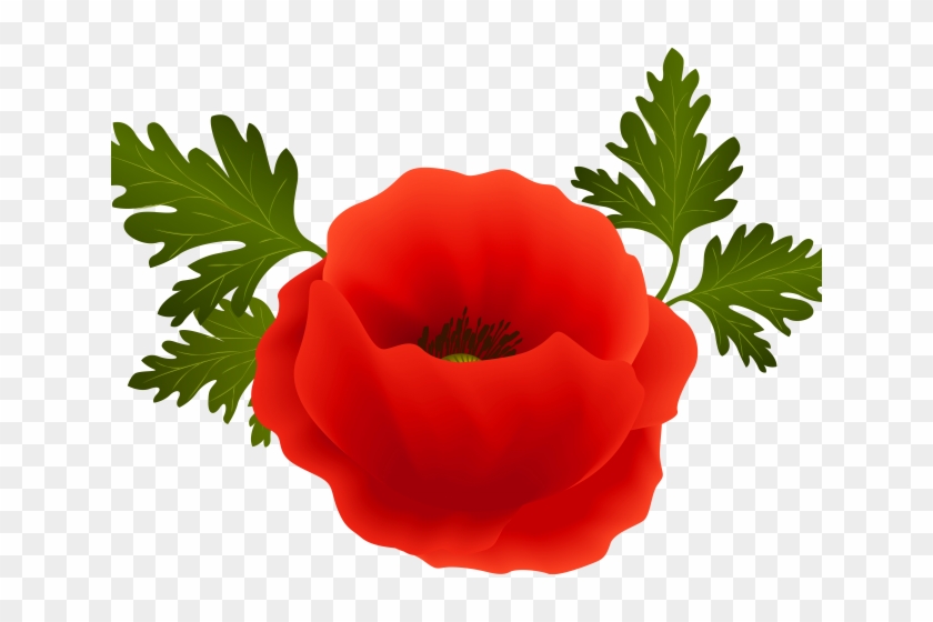 Poppy Clipart War - Poppy Clipart #1328457