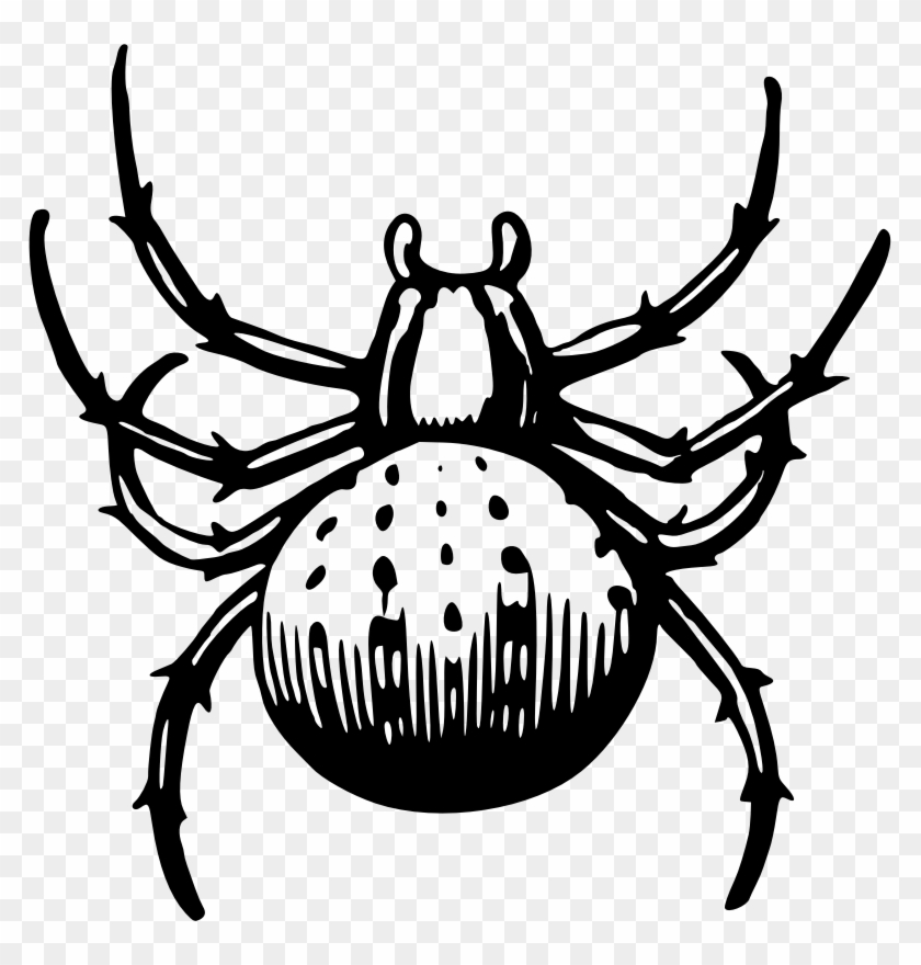 By Firkin - Clip Art #1328680