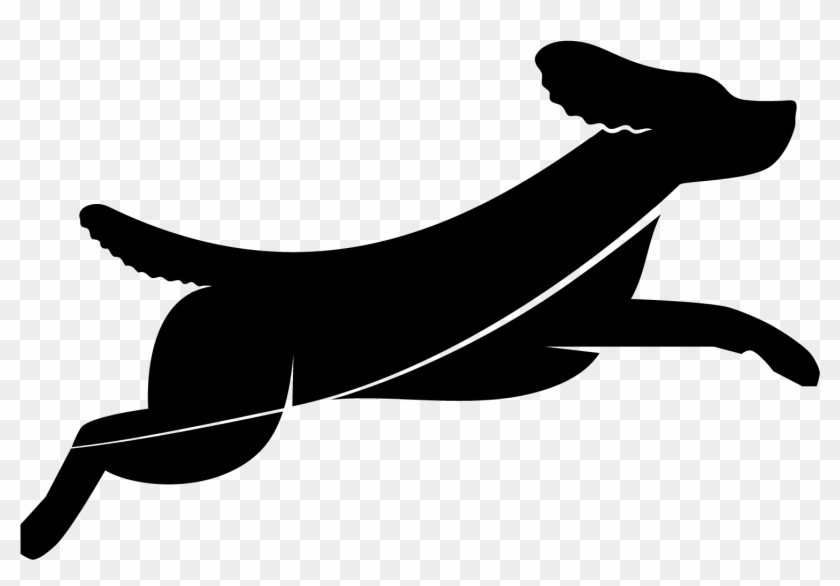 Sea Lion Clip Art #1329075
