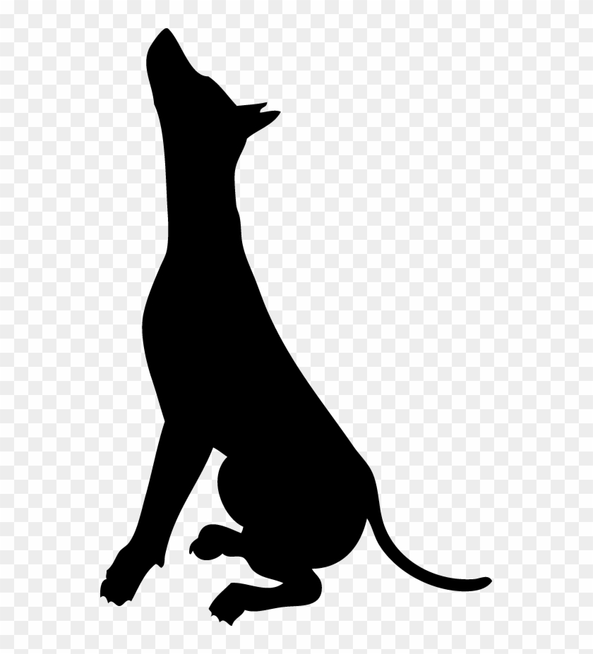 Dog Catches Something #1329105