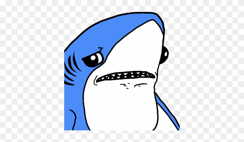 49 Kb Png - Shark Pepe #1329138