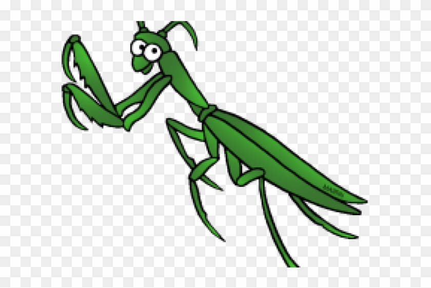 Mantis Clipart Boxing - Clip Art #1329347