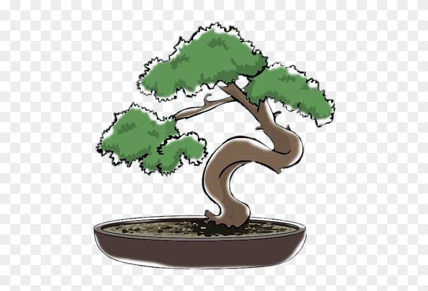 Bonsai Clipart Png - Bonsai #1330066